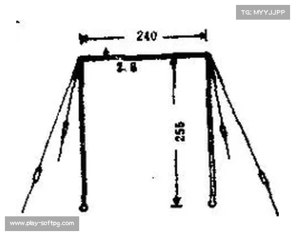 2026年起单杠器械强制使用防断裂监测系统标准升级实施细则 2026年起单杠器械强制使用防断裂监测系统标准升级实施细则